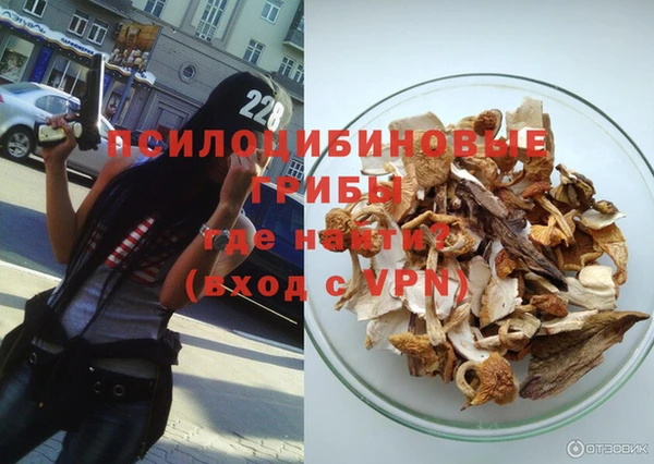 PSILOCYBIN Абинск